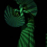 IMG_6522